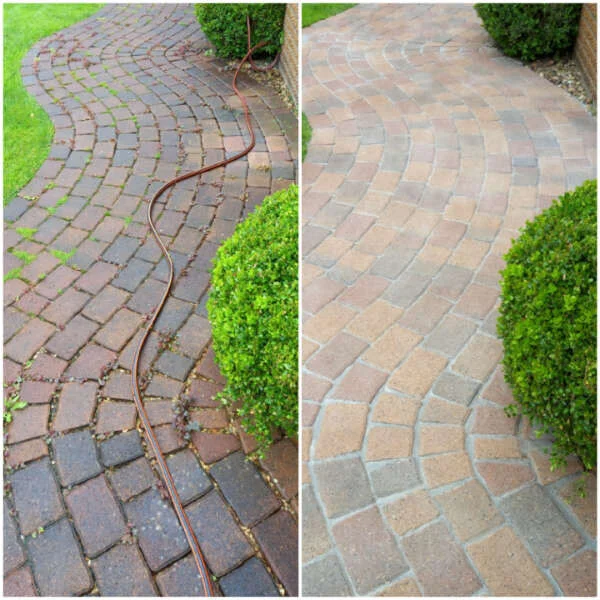 Pflastersteinreinigung