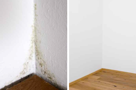Feuchtigkeitsschäden an der Wand